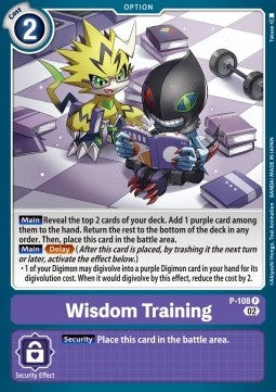 Wisdom Training (P-108) - Promos (Promo) [P-108]
